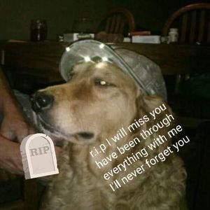 Meet your Posher, Aaron